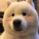南小森林