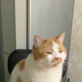 my