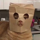 祈寒