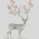 泡芙与小鹿