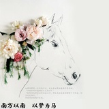 爱吃鱼的瑜小姐