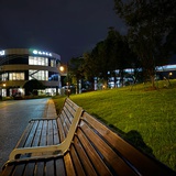 永歌森林守夜人