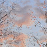 倾音闲闲