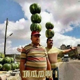 荆坏坏