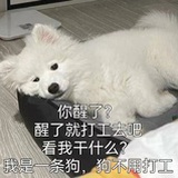 嘻嘻西西