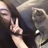 掷梦人