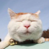 喵~