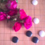 走一遭