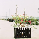 小R