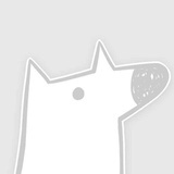已注销