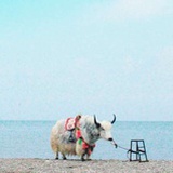 再睡一夏