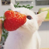 🍓