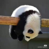 九天星河