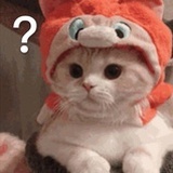 CATTY特别懒
