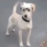 晨雾呼吸