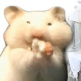 おもち～♪