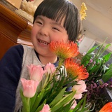 净琳