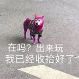 咸鱼不打折