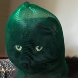 李