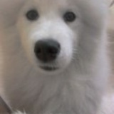 瑟