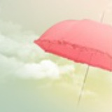 游鲤
