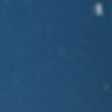 一只兔子