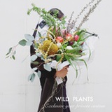 WILDPALNTS花野