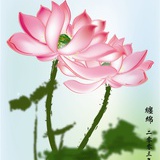 溪云