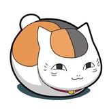 爱钻盒子的喵