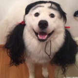 暖手捂子