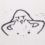 大卫
