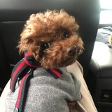 GMhope