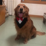 开心果