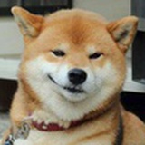 Doge°