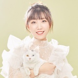 李小白成长笔记