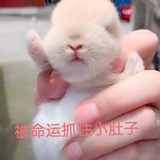 叫个新名字吧