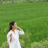 静心莲子