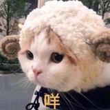 咚咚风