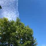 木末