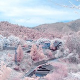 大雪