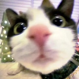 我要看你在吃啥