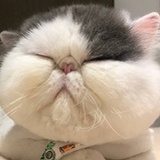 磨洋工小姐
