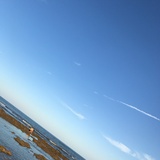 陶醉