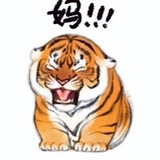 方脸西瓜