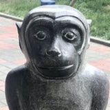 哇呕