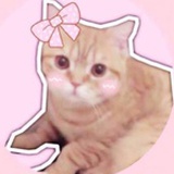 glis