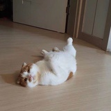璐璐