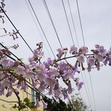 风居住的街道