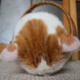 面具大仙