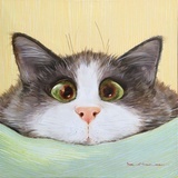IvyCatDr